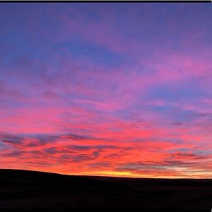 Meet your Posher, Zoe